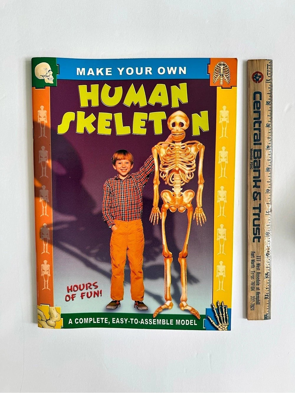 P3 Publishing Make Your Own Human Skeleton Activity Book